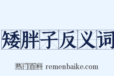 矮胖子反义词是什么意思的图片